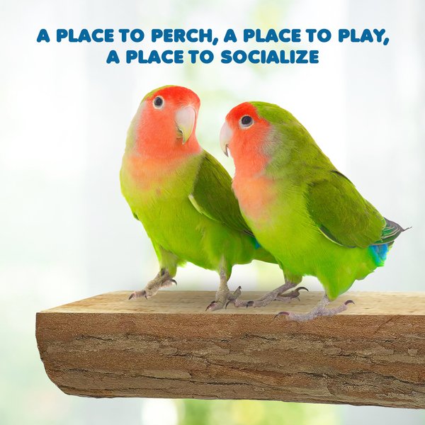 Show full view: Vila Natural Wooden Platform Parrot Perch Stand, Hanging Cage Accessories for Bird Play Stand, 7 x 3 inches slide 6 of 8