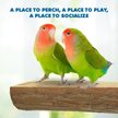 Show in main carousel: Vila Natural Wooden Platform Parrot Perch Stand, Hanging Cage Accessories for Bird Play Stand, 7 x 3 inches slide 6 of 8
