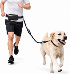 Vila Reflective Hands-Free Bungee Running & Walking Leash for Dogs & Puppies with Zipper Pouch, Black/Blue