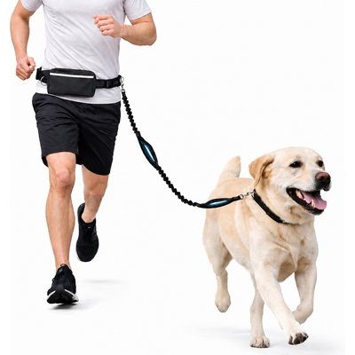 Vila Vila Reflective Hands-Free Bungee Running & Walking Leash for Dogs & Puppies with Zipper Pouch, Black/Blue