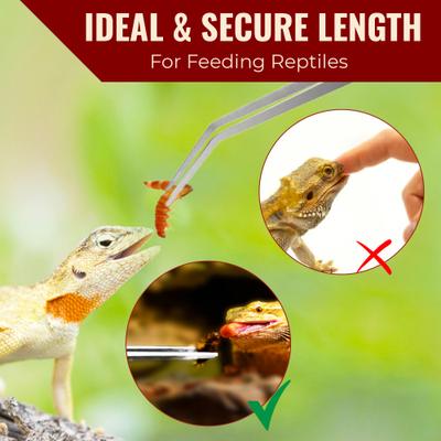 Show full view: Vila Snake & Bearded Dragon Stainless Steel Reptile Feeding Tongs, Aquarium Long Tweezers, 2 count slide 5 of 6