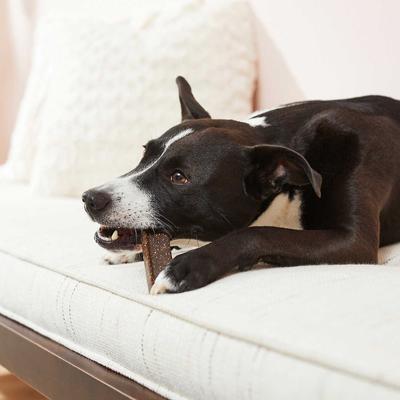 Show full view: Virbac C.E.T. Enzymatic Dog & Cat Poultry Flavor Toothpaste, 70 gram & Virbac C.E.T. VeggieDent Fr3sh Tartar Control Dog Chews, Medium, 30 Count slide 9 of 9