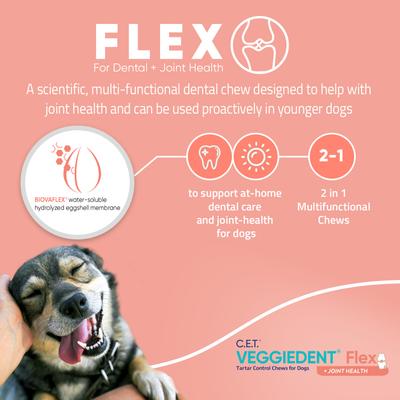 Show full view: Virbac C.E.T. VeggieDent Flex + Joint Health Dental Chews for Small Dogs, 30 count slide 5 of 10