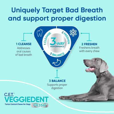 Show full view: Virbac C.E.T. VeggieDent Fr3sh Dental Chews for Large Dogs, over 66-lbs, 30 count slide 6 of 10