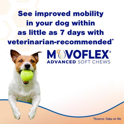 Show full view: Virbac MOVOFLEX Advanced Soft Chews Joint Supplement for Medium Breed Dogs, 60 count, bundle of 2 slide 4 of 10