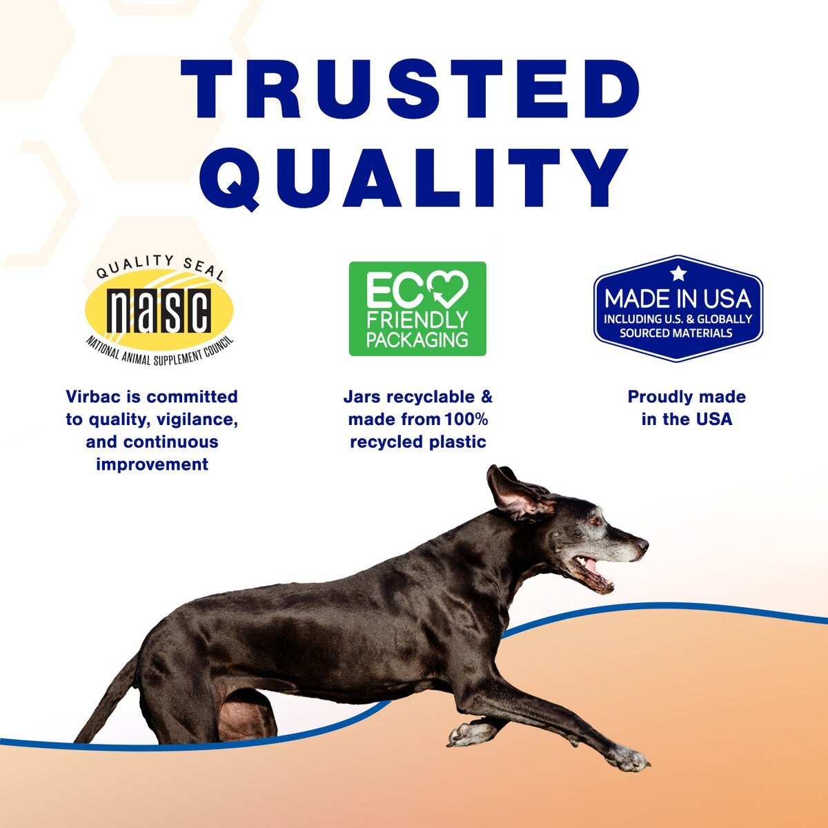 Photo inspiration: Virbac Movoflex Advanced Soft Chews Joint Supplement For Small Breed Photo Inspiration