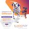 Show in main carousel: Virbac MOVOFLEX Soft Chews Joint Supplement for Medium Breed Dogs, 60 count, bundle of 2 slide 7 of 10