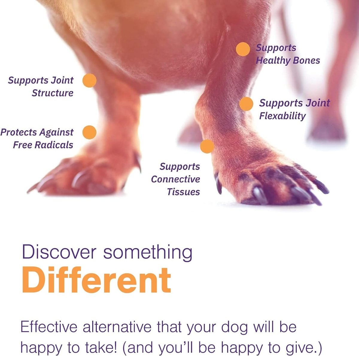 Curated visual reference: Fresh Look at Virbac Movoflex Soft Chews Joint Supplement For Small Breed Dogs