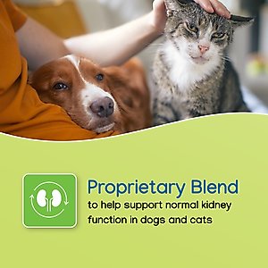 Virbac Nephrodyl Synbiotic Capsules for Kidney Support for Dogs & Cats, 60 count
