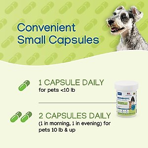Virbac Nephrodyl Synbiotic Capsules for Kidney Support for Dogs & Cats, 60 count