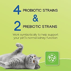Virbac Nephrodyl Synbiotic Capsules for Kidney Support for Dogs & Cats, 60 count