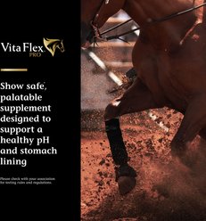 Vita Flex Pro Daily Gastric Care Horse Supplement, 16.5-lb tub slide 2 of 9