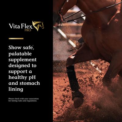 Show full view: Vita Flex Pro Daily Gastric Care Horse Supplement, 16.5-lb tub slide 2 of 10
