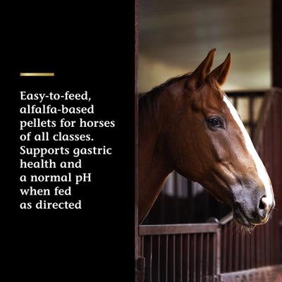 Show full view: Vita Flex Pro Daily Gastric Care Horse Supplement, 16.5-lb tub slide 3 of 10