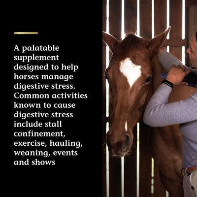 Show full view: Vita Flex Pro Daily Gastric Care Horse Supplement, 16.5-lb tub slide 4 of 10