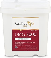 Vita Flex Pro DMG 3000 DMG Concentrate Horse Supplement, 4-lb bag