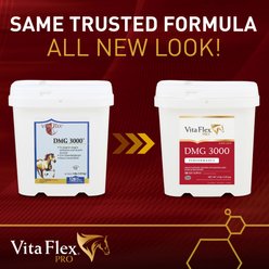 Vita Flex Pro DMG 3000 DMG Concentrate Horse Supplement, 4-lb bag slide 2 of 4