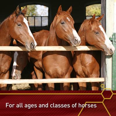 Show full view: Vita Flex Pro E-5000 Premium Quality Vitamin E Immune Support Granules Horse Supplement, 4-lb bucket slide 5 of 10