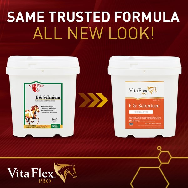 Vita Flex Pro E & Selenium Vitamin E Powder Horse Supplement, 4-lb bucket
