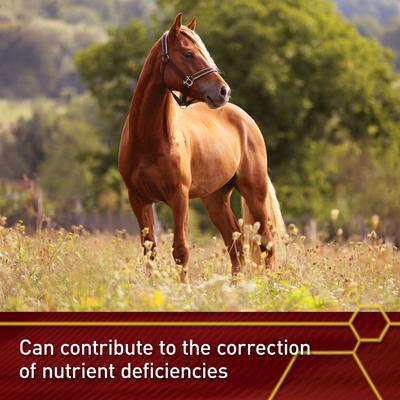 Show full view: Vita Flex Pro E & Selenium Vitamin E Powder Horse Supplement, 4-lb bucket slide 3 of 10