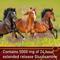 Show in main carousel: Vita Flex Pro Equinyl Combo Joint Formula Powder Horse Supplement, 3.75-lb bucket slide 5 of 10