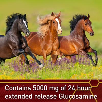 Show full view: Vita Flex Pro Equinyl Combo Joint Formula Powder Horse Supplement, 3.75-lb bucket slide 5 of 10