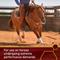 Show in main carousel: Vita Flex Pro Equinyl Joint Formula & Hyaluronic Acid Powder Horse Supplement, 3.75-lb bucket slide 3 of 8