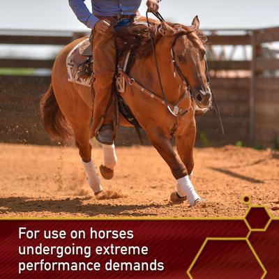 Show full view: Vita Flex Pro Equinyl Joint Formula & Hyaluronic Acid Powder Horse Supplement, 3.75-lb bucket slide 3 of 8