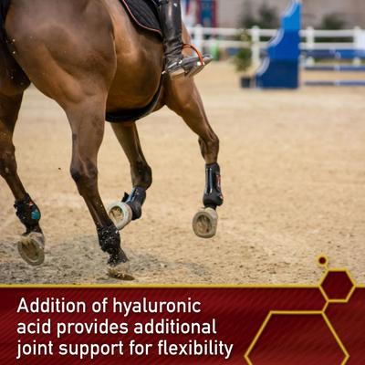 Show full view: Vita Flex Pro Equinyl Joint Formula & Hyaluronic Acid Powder Horse Supplement, 3.75-lb bucket slide 4 of 8