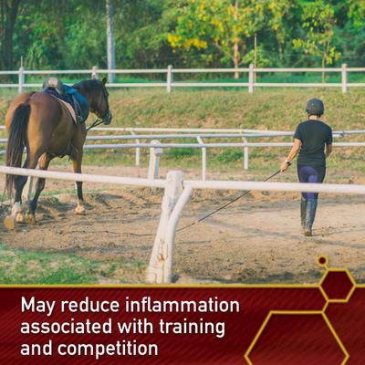 Show full view: Vita Flex Pro Equinyl Joint Formula & Hyaluronic Acid Powder Horse Supplement, 3.75-lb bucket slide 5 of 8