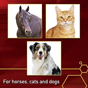 Vita Flex Pro MSM Ultra Pure Joint Support Granules Dog & Horse Supplement, 4-lb bucket