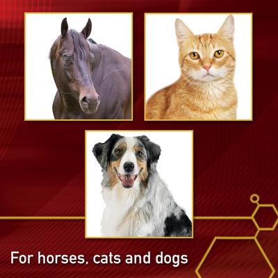 Show full view: Vita Flex Pro MSM Ultra Pure Joint Support Granules Dog & Horse Supplement, 4-lb bucket slide 4 of 10