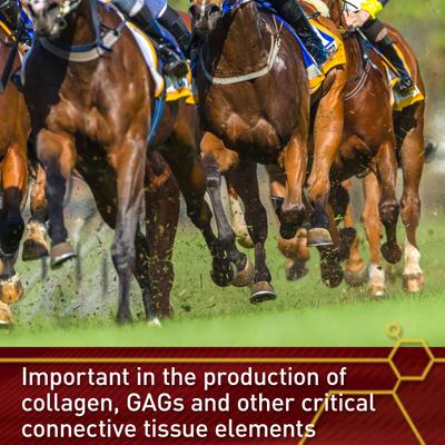 Show full view: Vita Flex Pro Pure C Premium Vitamin C Powder Horse Supplement, 2-lb jar slide 5 of 8