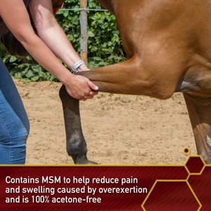 Vita Flex Pro Thermaflex Liniment Gel for Sore Muscles & Joint Relief Horse Cream, 12-fl oz bottle
