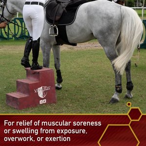 Vita Flex Pro Thermaflex Liniment Gel for Sore Muscles & Joint Relief Horse Cream, 12-fl oz bottle