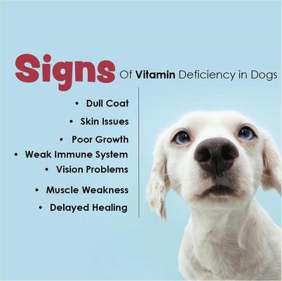 Show full view: Vita-Tabs Liver Flavored Multivitamin for Dogs, 60 count slide 7 of 9