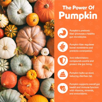 Show full view: Vitafur Barkin' Burger Only 2 Ingredients Lamb & Pumpkin Limited Ingredient Grain-Free Dehydrated Dog Treats, 4-oz bag, 2 count slide 5 of 6