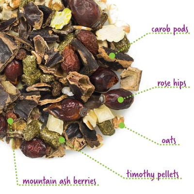 Show full view: Vitakraft Fruit Cocktail Chinchilla Treats, 4.5-oz bag slide 4 of 5