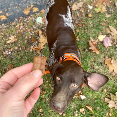 Show full view: Vitakraft Meaty Morsels Chicken Recipe with Potato Soft & Chewy Dog Treats, 4.2-oz bag, 3 count slide 9 of 11