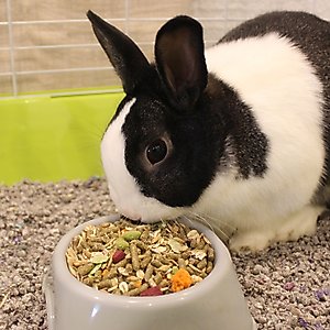 Vitakraft Menu Alfalfa Pellets Blend Vitamin & Mineral Fortified Premium Rabbit Food, 5-lb bag
