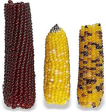 Show full view: Vitakraft Mini-Pop Small Animal Treat, 6-oz, bundle of 3 slide 3 of 6