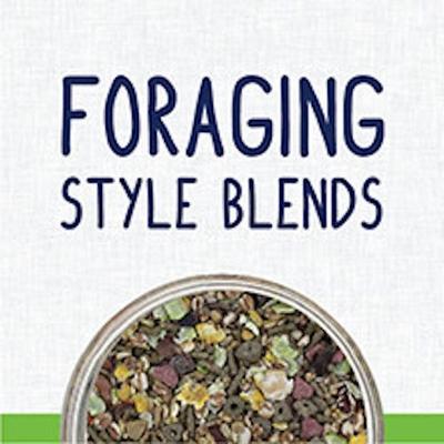 Show full view: Vitakraft Vita Smart Complete Nutrition Premium Fortified Blend with Ancient Grains Gerbil, Rat & Mouse Food, 2-lb bag slide 4 of 9