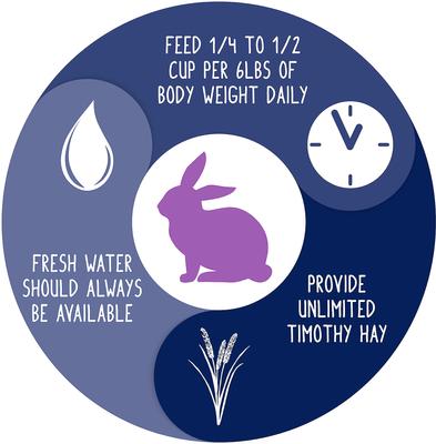 Show full view: Vitakraft VitaSmart Complete Nutrition Natural Foraging Blend Rabbit Food, 4-lb bag slide 5 of 7