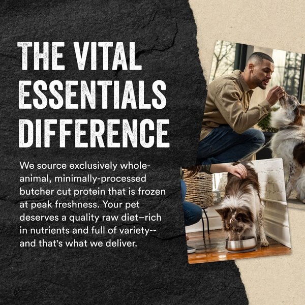 Vital Essentials Frozen Raw Patties Grain-Free Chicken Entree Dog Food