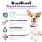 Show in main carousel: Vital Pet Life Liquid Glucosamine MSM Chondroitin for Dogs, 32-fl oz bottle slide 3 of 8