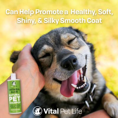 Show full view: Vital Pet Life Oatmeal & Aloe Dog Shampoo, 16-fl oz slide 6 of 8