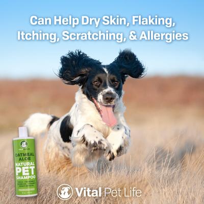 Show full view: Vital Pet Life Oatmeal & Aloe Dog Shampoo, 16-fl oz slide 7 of 8