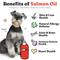 Show in main carousel: Vital Pet Life Salmon Oil Skin & Coat Health Liquid Cat & Dog Supplement, 8-fl oz bottle slide 3 of 8