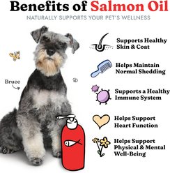 Vital Pet Life Salmon Oil Skin & Coat Health Liquid Omega-3 Supplement for Dogs & Cats, 32-fl oz bottle slide 2 of 6