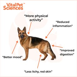 Vital Pet Sciences PCQ Pet Powder Pain Relief & Allergy Support Supplement for Dogs & Cats, 0.56-oz jar slide 2 of 8